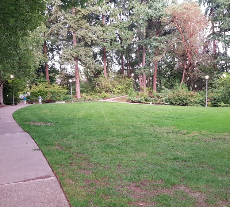 Wildwood Park (Bellevue,&nbspWA)